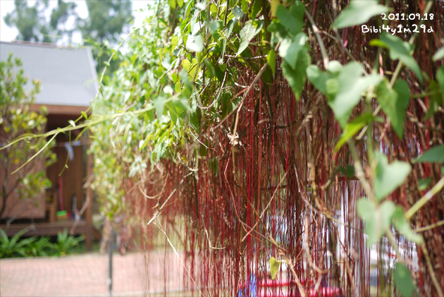 20110918_06.jpg 20110918_06.jpg