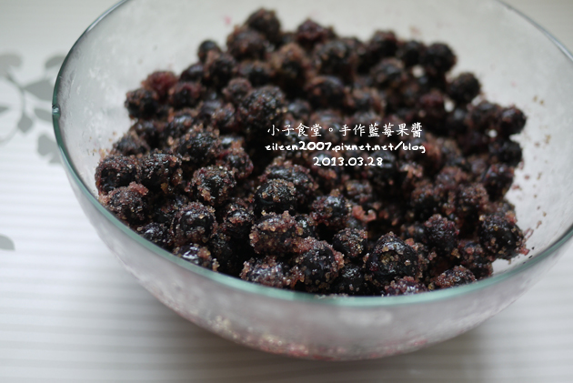 20130410_blueberry02 20130410_blueberry02