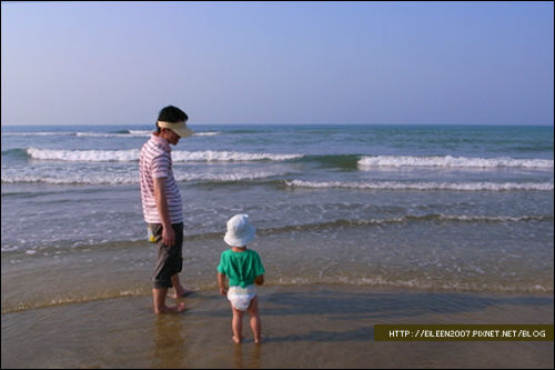 980606_sea07.jpg 980606_sea07.jpg