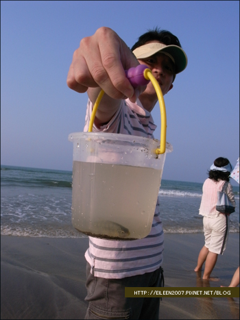 980606_sea10.jpg 980606_sea10.jpg