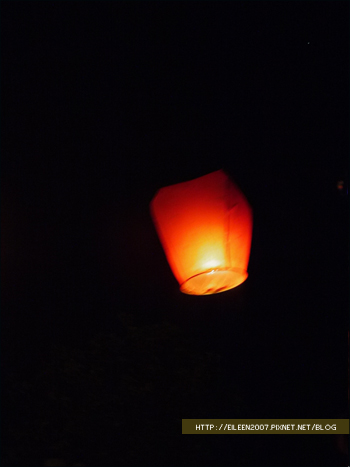 990502_firefly28.jpg 990502_firefly28.jpg