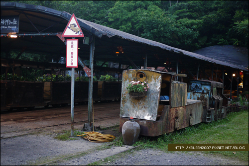 990502_firefly14.jpg 990502_firefly14.jpg
