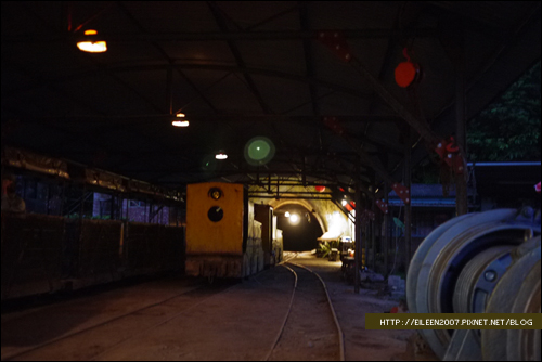 990502_firefly15.jpg 990502_firefly15.jpg