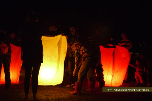 990502_firefly26.jpg 990502_firefly26.jpg