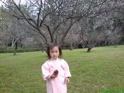 梅花下的小小妞