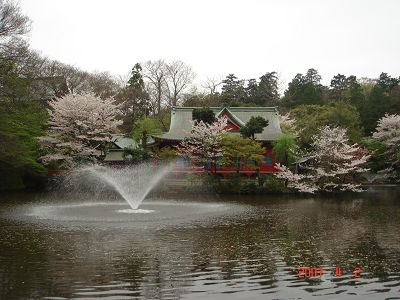 井之頭公園內的漂亮寺廟