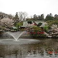 井之頭公園內的漂亮寺廟