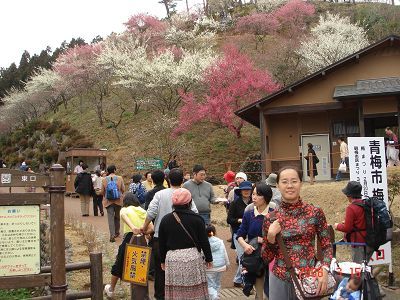 青梅公園另一入口