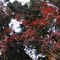 PhotoCap_DSC04003.jpg