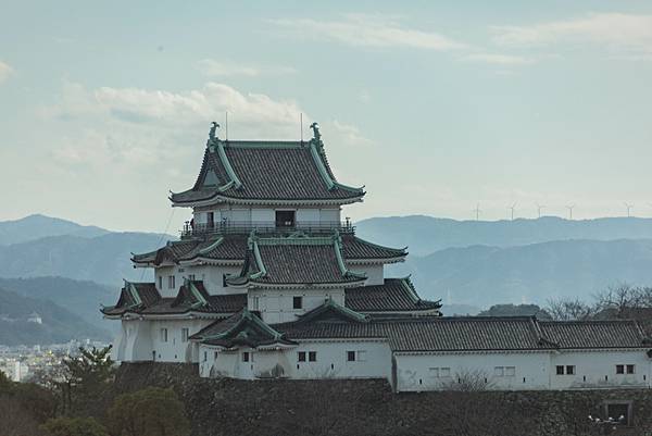 [日本關西]貴志車站-博物館號：たま站長｜和歌山城｜晚餐：味