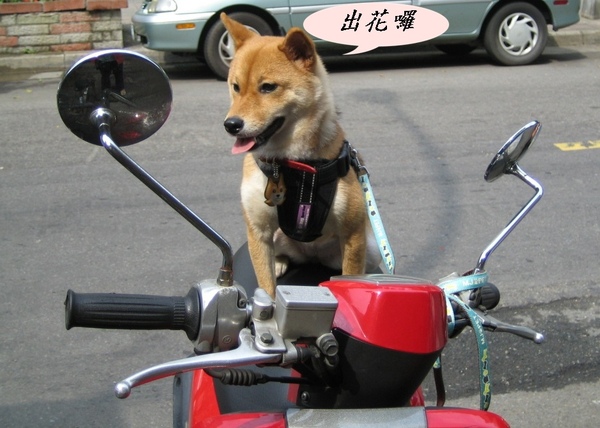 IMG_8431-crop.jpg IMG_8431-crop.jpg