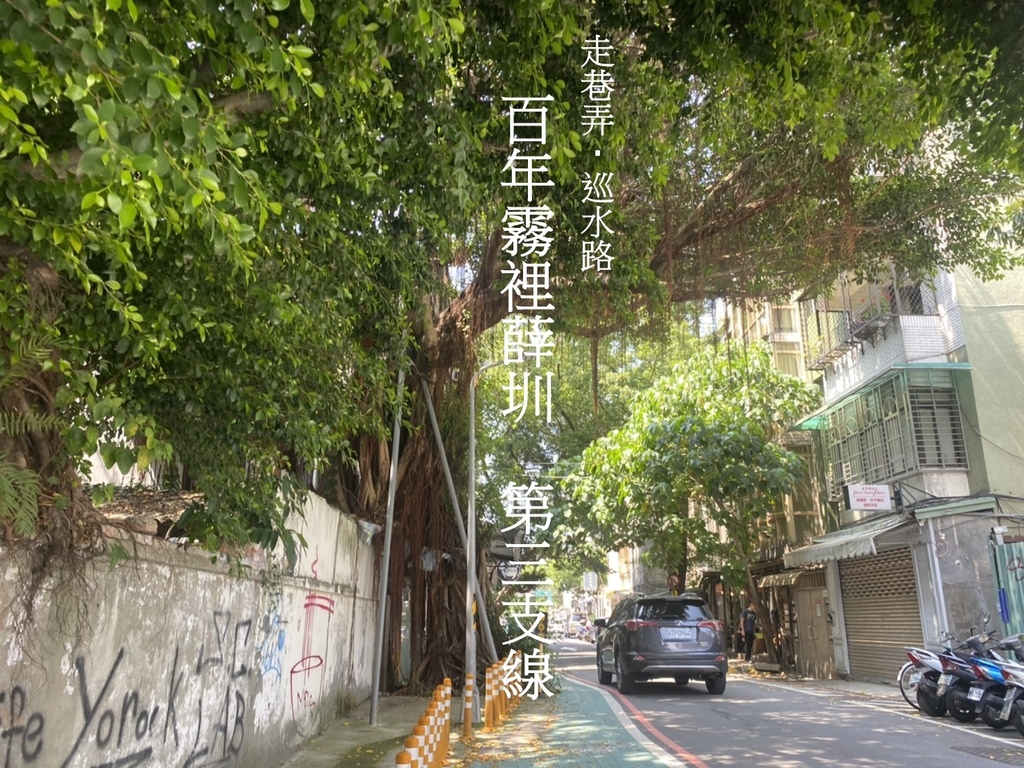 霧裡薛圳第三支線：溫州街52巷日式宿舍ｘ龍泉市場ｘ奇幻怪怪屋