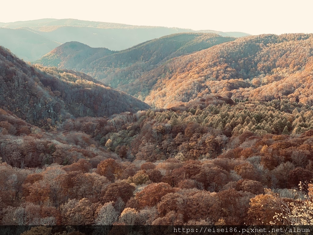 ★紅葉東北D1-2★青森紅葉名所-中野紅葉山ｘ城倉大橋絕景ｘ