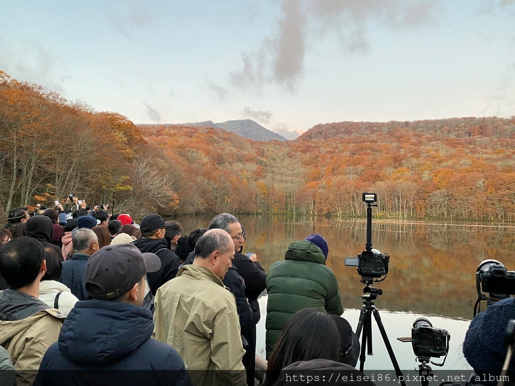 ★紅葉東北D2★火紅絕景！蔦沼朝燒ｘ奧入瀨溪流散策