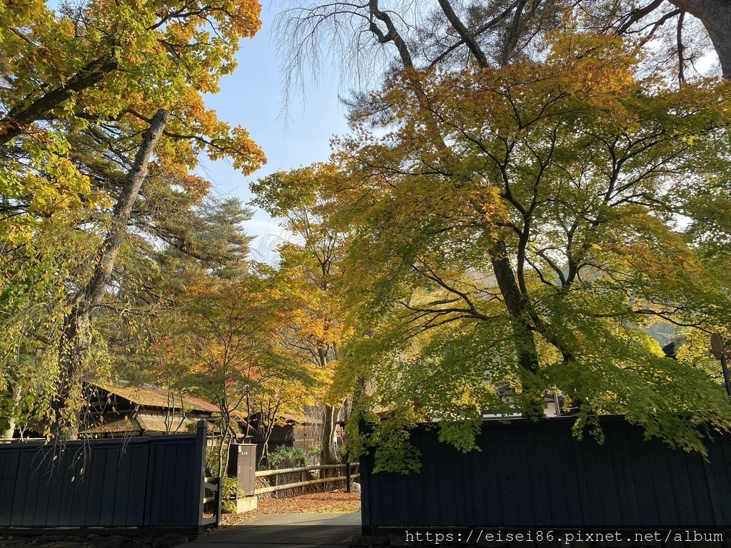 ★紅葉東北D4★角館武家屋敷ｘ抱返溪谷ｘ小安峽大噴湯ｘ須川高