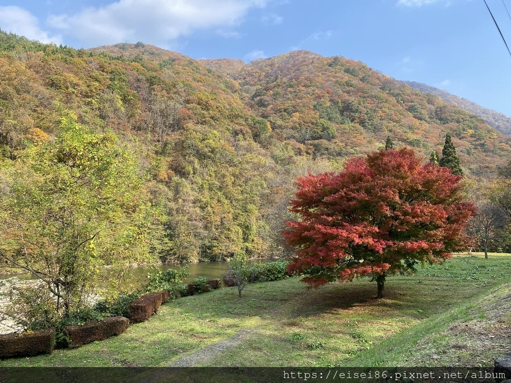 ★紅葉東北D4★角館武家屋敷ｘ抱返溪谷ｘ小安峽大噴湯ｘ須川高