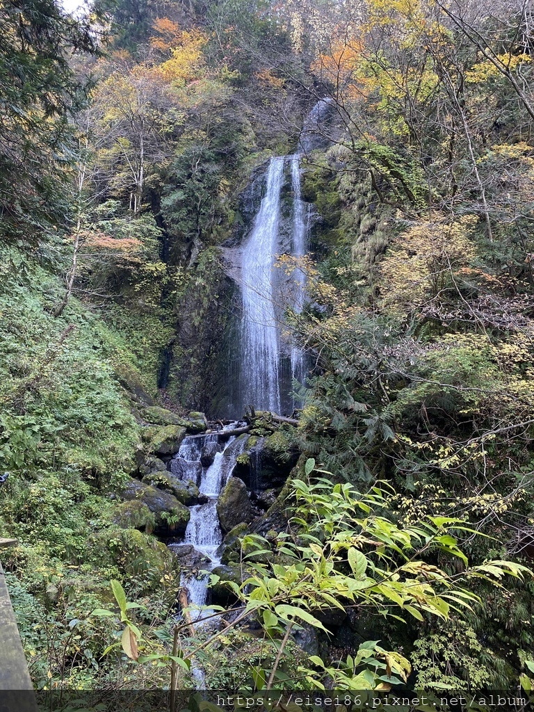 ★紅葉東北D4★角館武家屋敷ｘ抱返溪谷ｘ小安峽大噴湯ｘ須川高