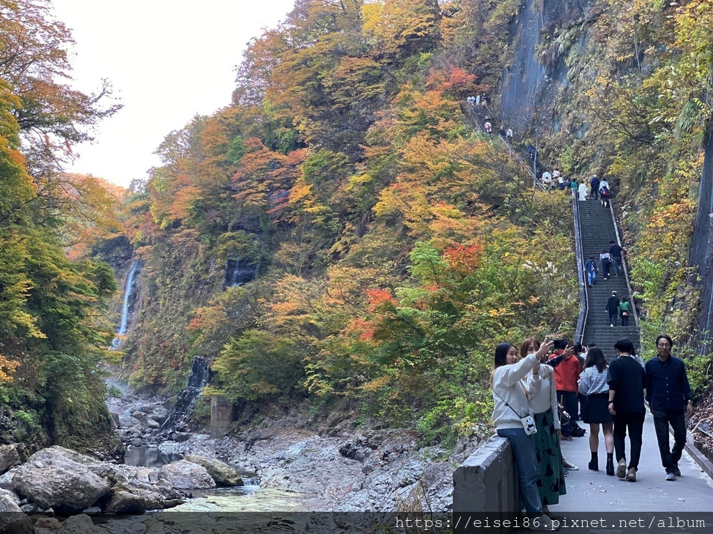 ★紅葉東北D4★角館武家屋敷ｘ抱返溪谷ｘ小安峽大噴湯ｘ須川高