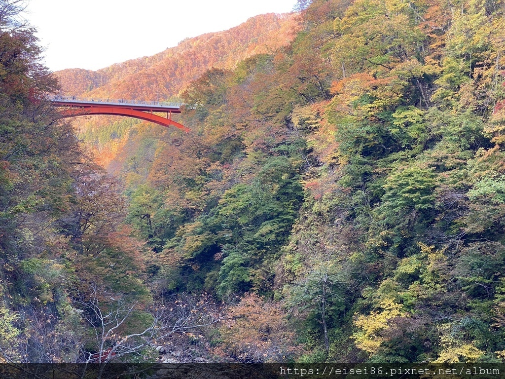 ★紅葉東北D4★角館武家屋敷ｘ抱返溪谷ｘ小安峽大噴湯ｘ須川高