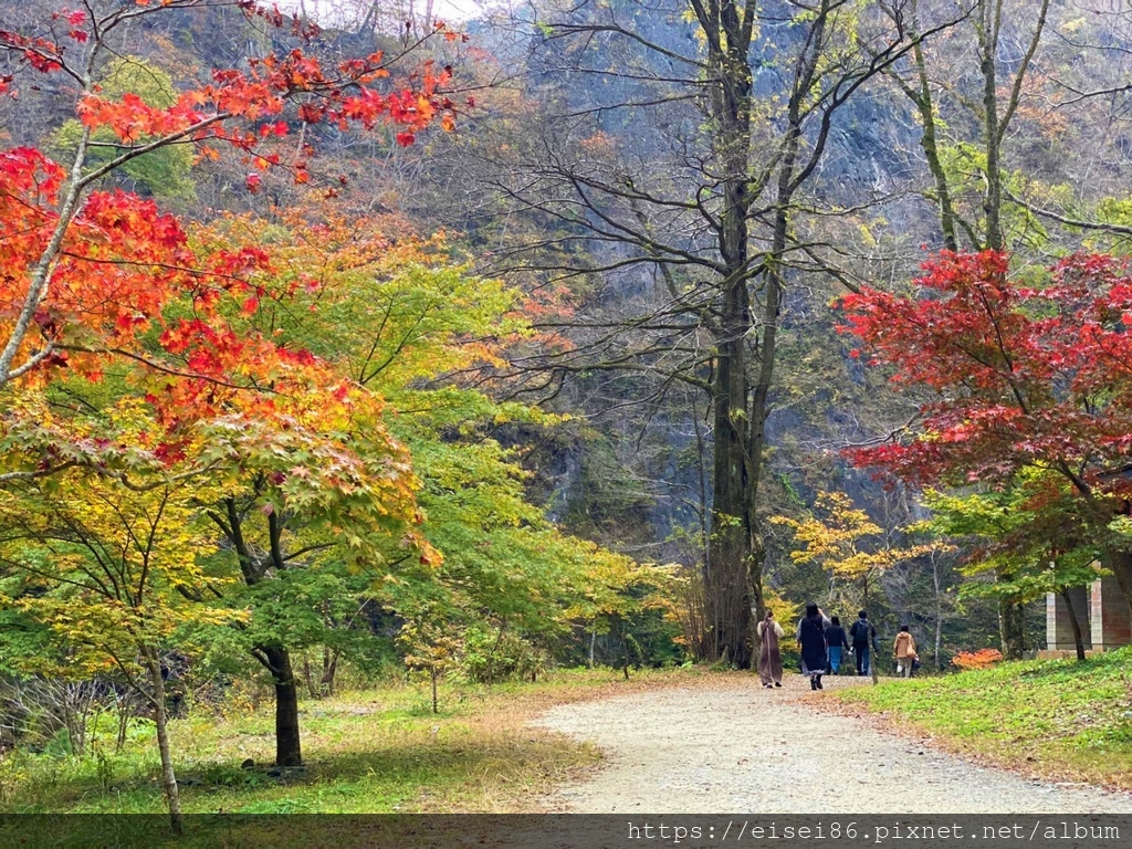 ★紅葉東北D5-1★日本百景猊鼻溪木舟遊＋投運石ｘ世界遺產中