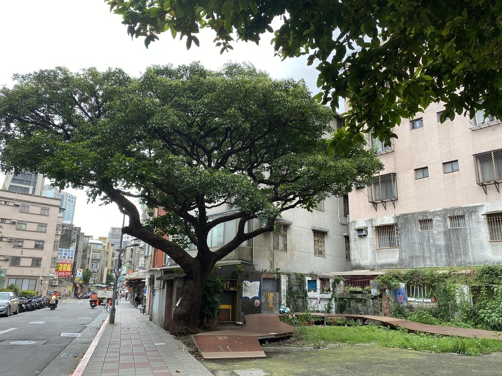 【城南】從紀州庵到南菜園，日本時代的城南水岸日常〈呂慶炎老師