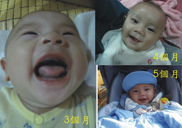 小飛3-5個月.jpg 小飛3-5個月.jpg