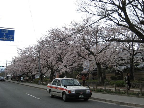 日本關西照片 367.jpg