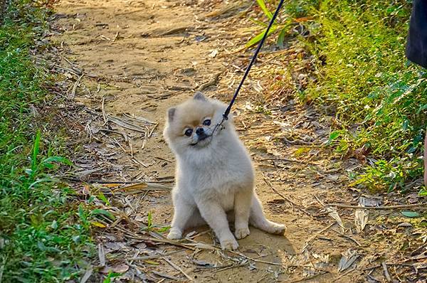 DSC_1210.jpg DSC_1210.jpg
