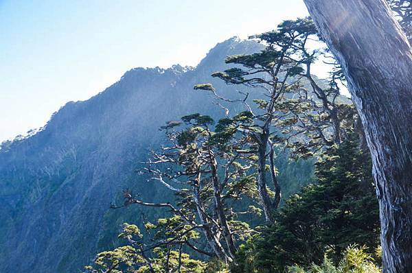 DSC_5901.jpg DSC_5901.jpg