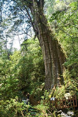 DSC_6047.jpg DSC_6047.jpg