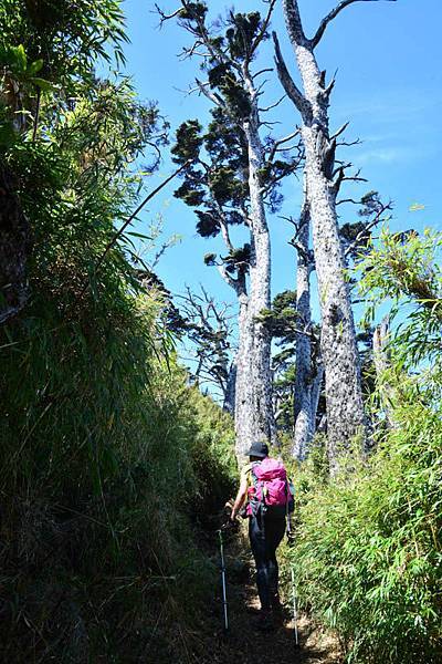 DSC_7467.jpg DSC_7467.jpg