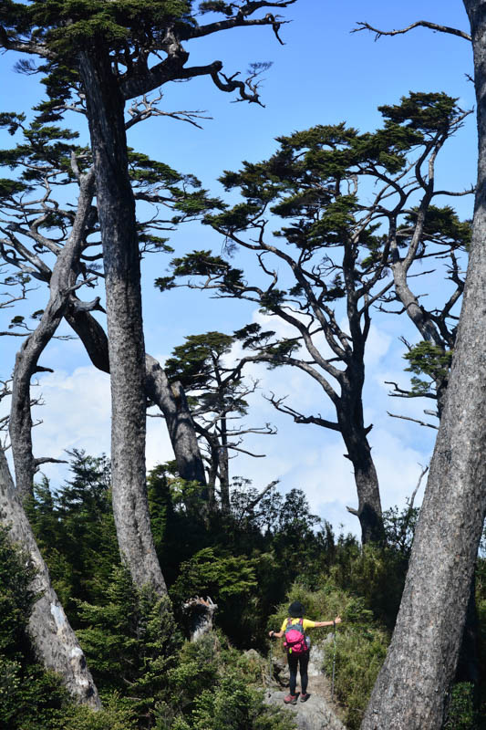DSC_7487.jpg DSC_7487.jpg