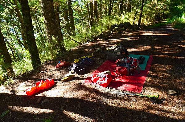 DSC_6989.jpg DSC_6989.jpg