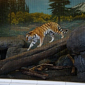DSC00753 DSC00753