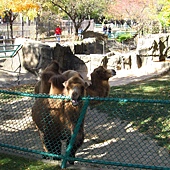 IMG_5344 IMG_5344