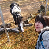 IMG_5362 IMG_5362