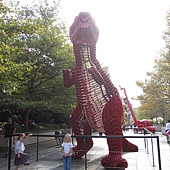 IMG_4659 IMG_4659