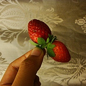 DSC05650 DSC05650