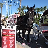 IMG_5973 IMG_5973