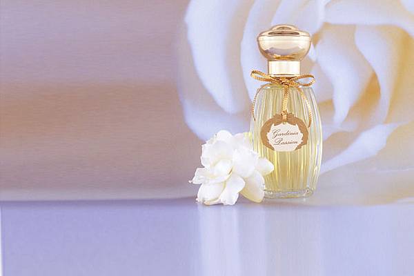 gardenia-passion.jpg gardenia-passion.jpg