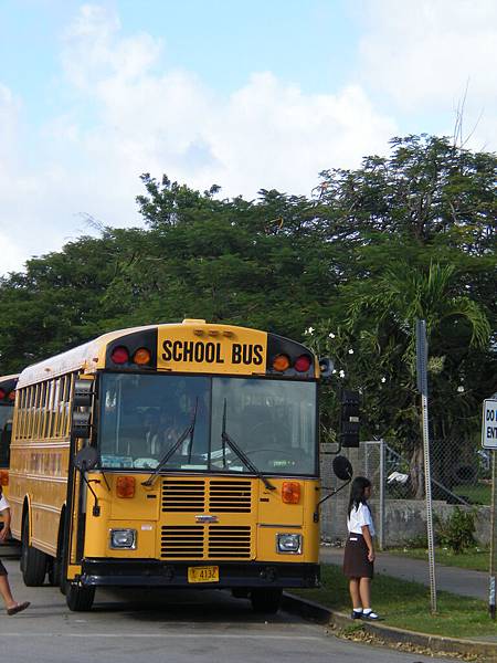 關島學校bus