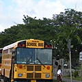 關島學校bus