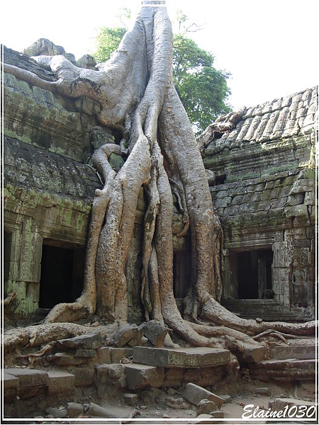 060503_02Taprohm.jpg