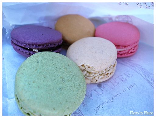 拉德蕾的macarons