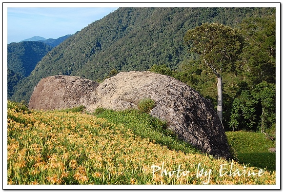 赤柯山千噸石龜