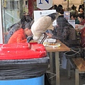 2-Sydney fish market-0614 (40)