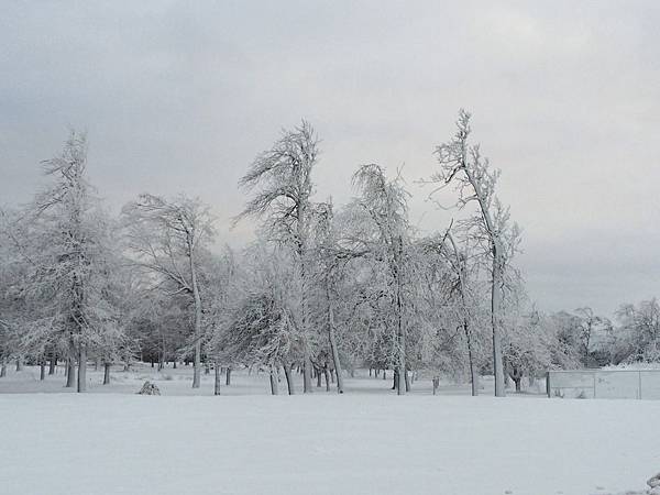 20160120-Niagara Falls.jpg