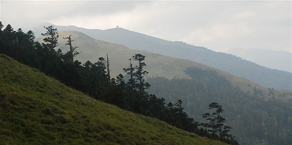 合歡群峰慶百岳_92.jpg