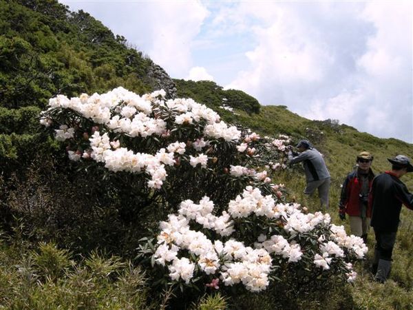 合歡北下山巒池_53.JPG