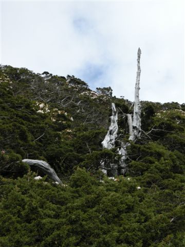 D1_71 登山口_圓峰山屋.JPG
